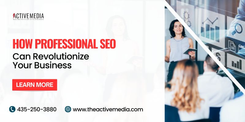 Professional SEO Services in USA